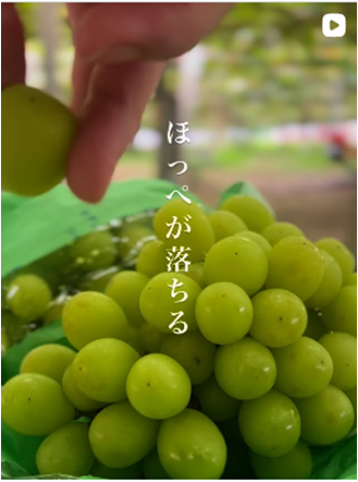2025最優秀賞（動画）